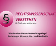 Was ist eine Musterfeststellungsklage? Rechtslage, Akteure, Vor- und Nachteile! | Rechtswissenschaft Blog